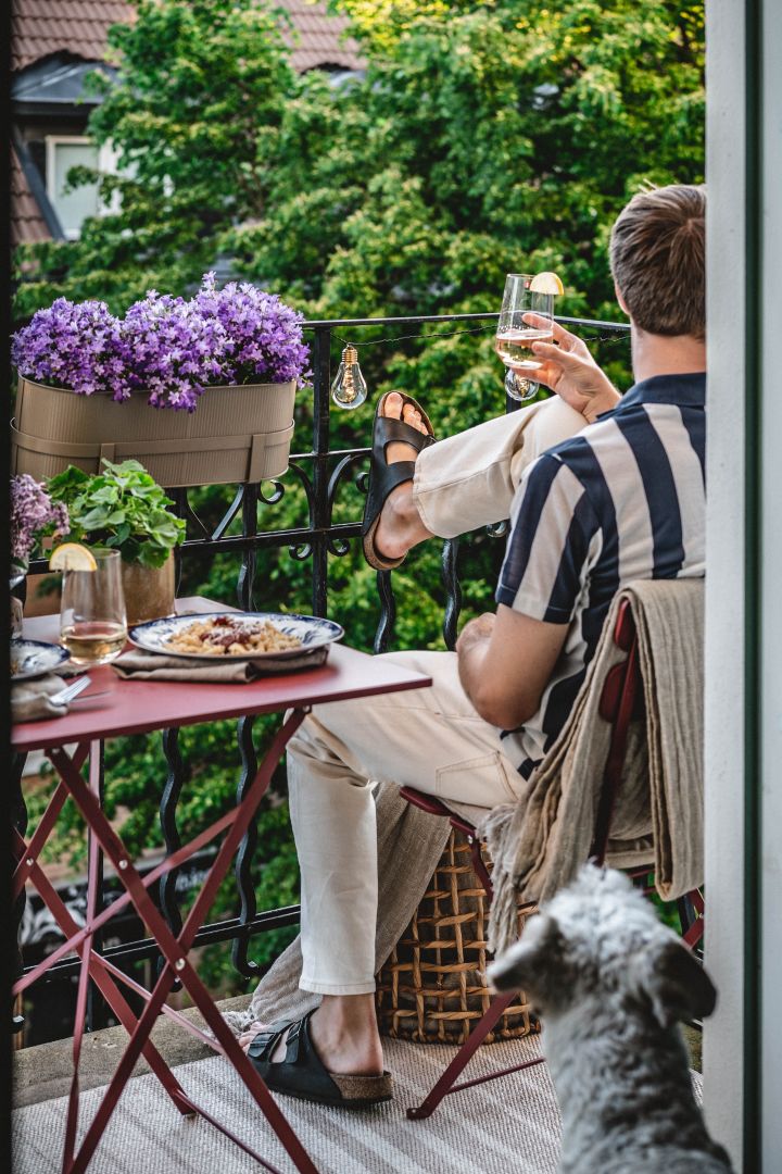 Instagram-profilen Hannes Mauritzson på sin balkong i stan med hunden Charlie. 